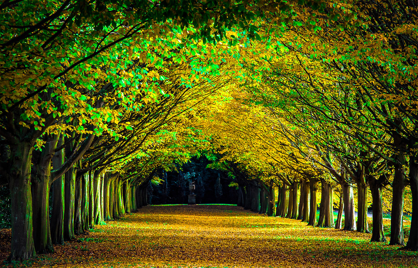 Golden Passage