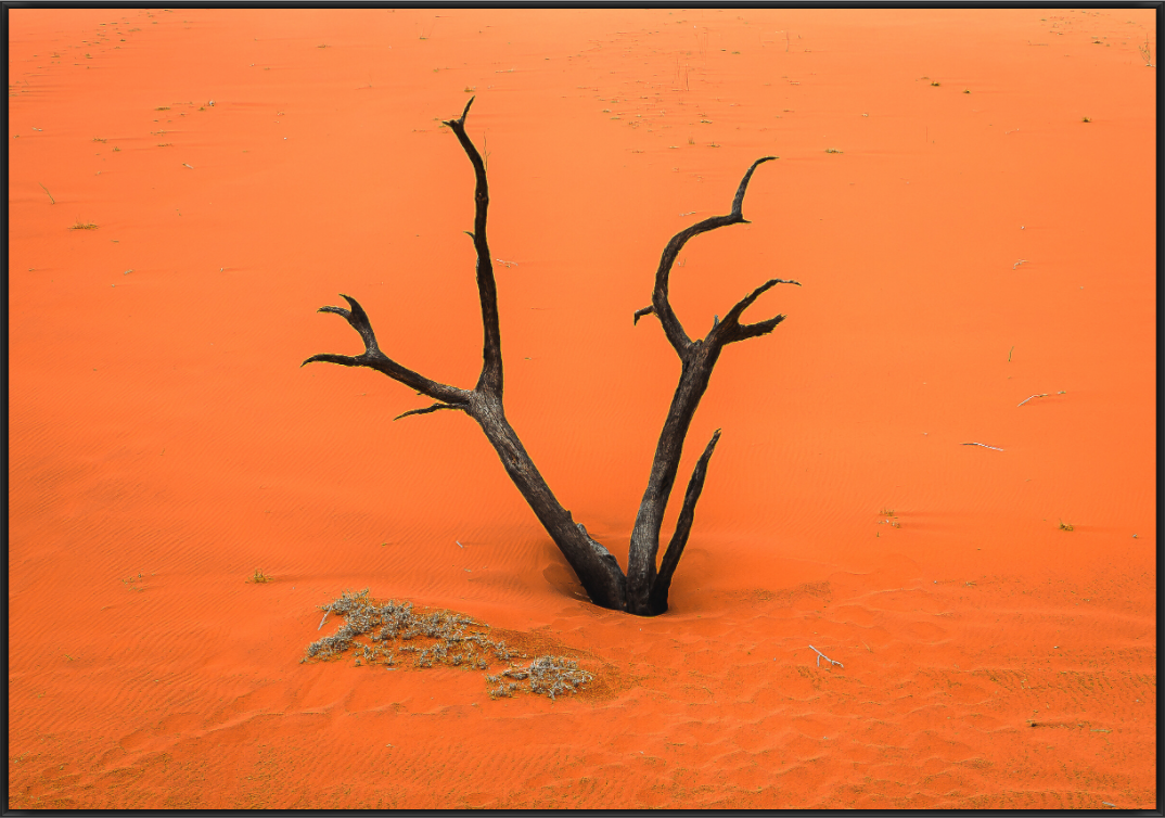 Main image Solitary Flame
