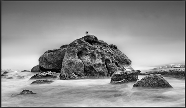 Main image Still Form