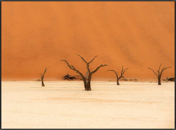 Main image Last Witness