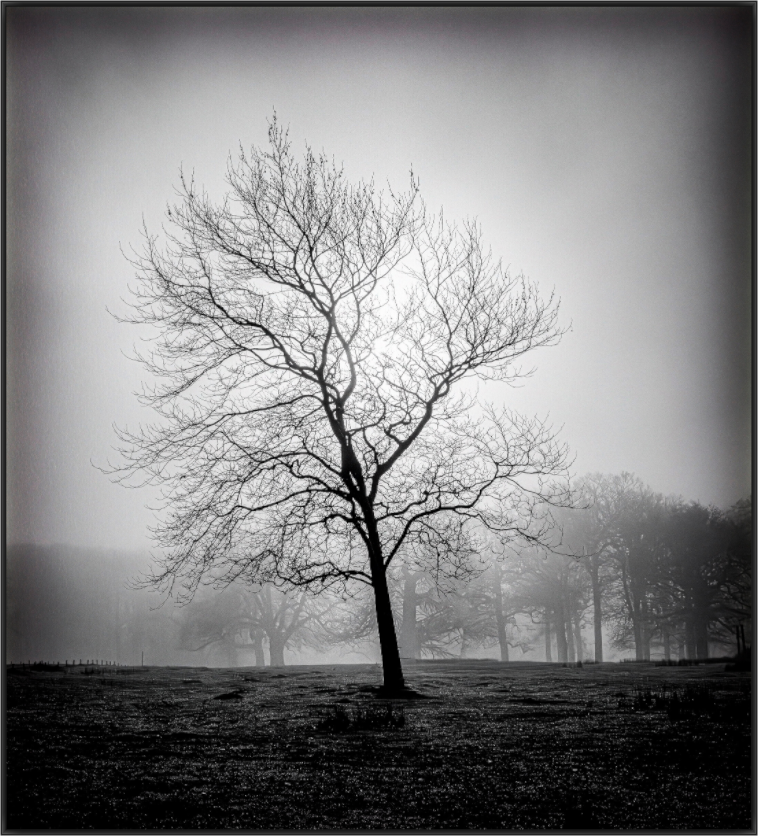 Main image Silent Witness