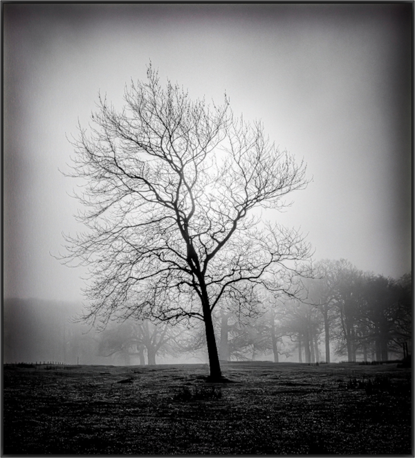 Main image Silent Witness
