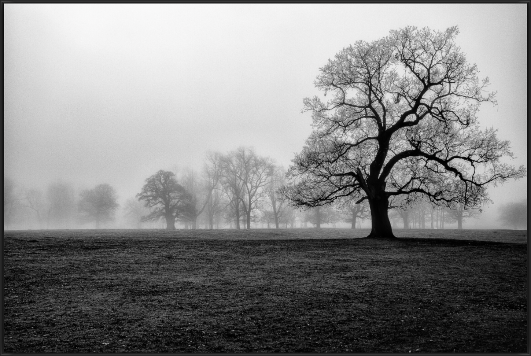 Main image Fading Presence