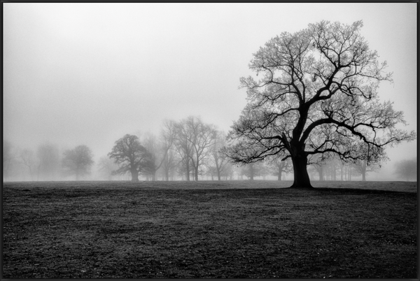 Main image Fading Presence
