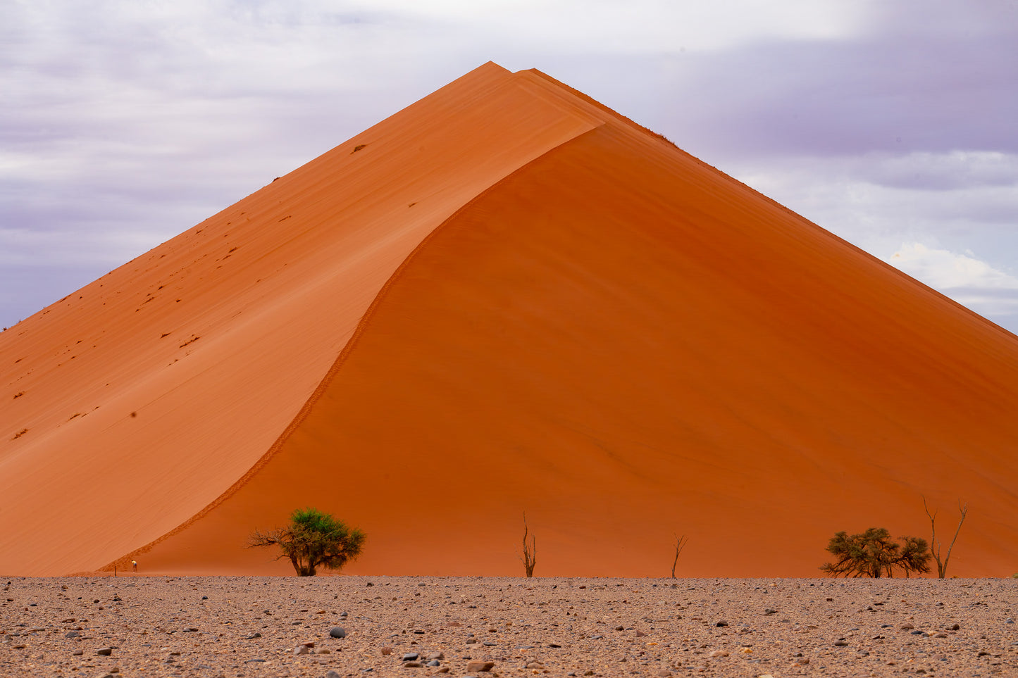 Desert Curve