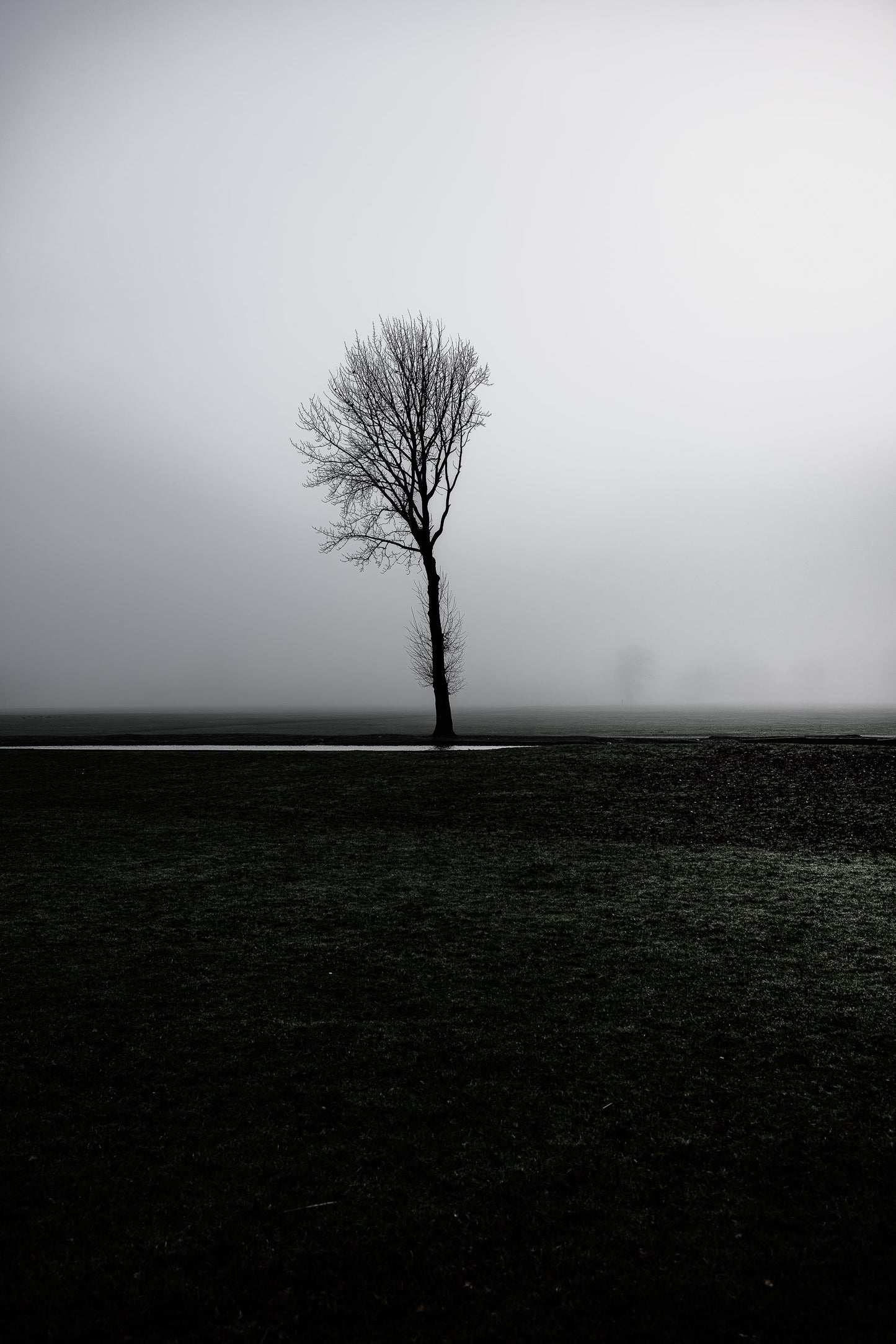 Still Horizon