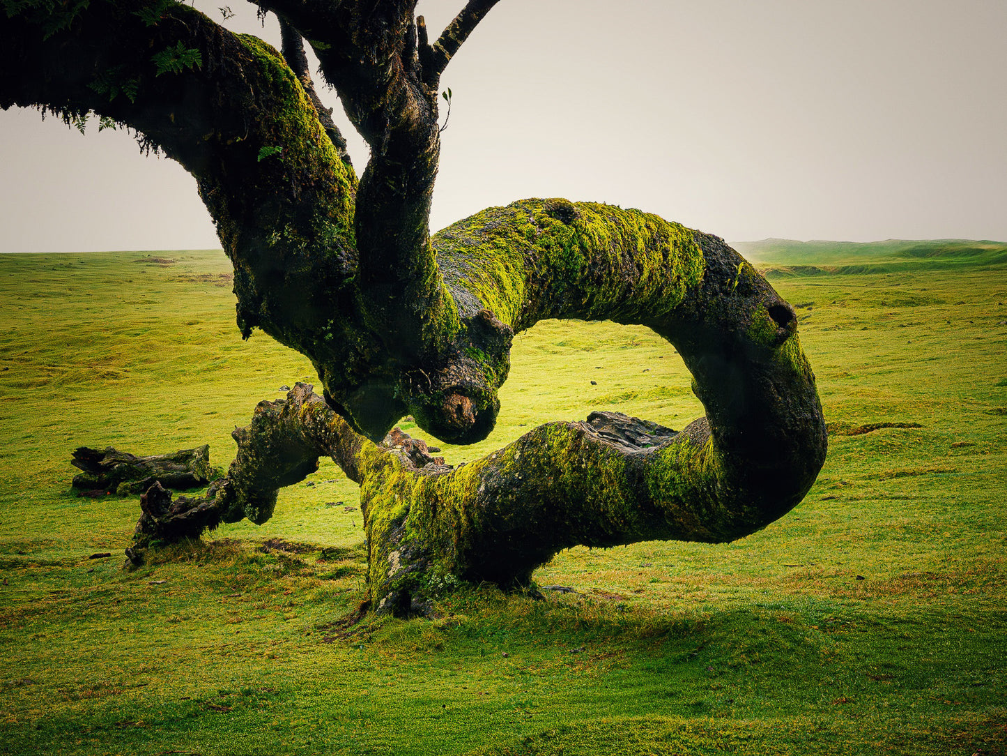 Erosion
