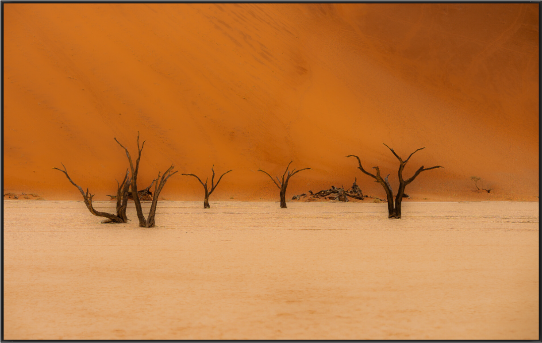 Main image Silent Divide